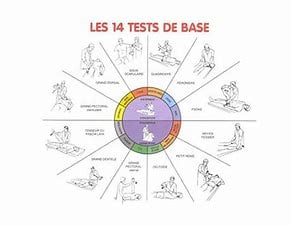 14 tests musculaires