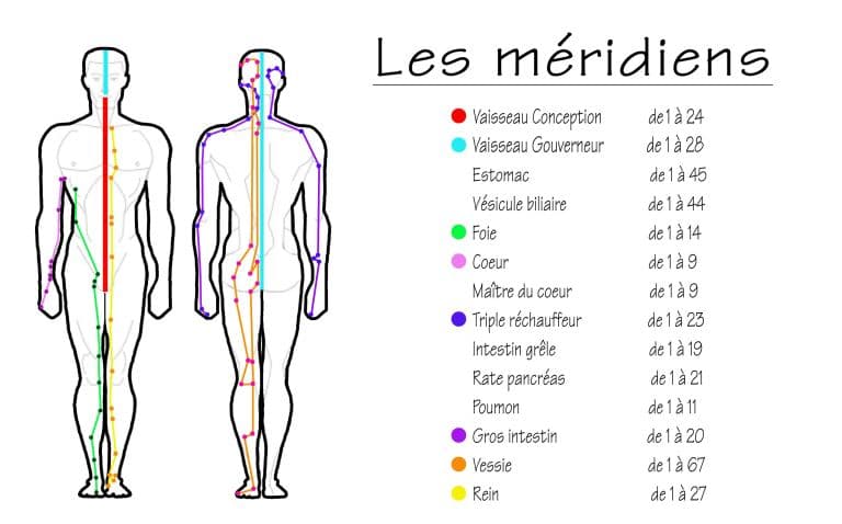 Méridiens du corps
